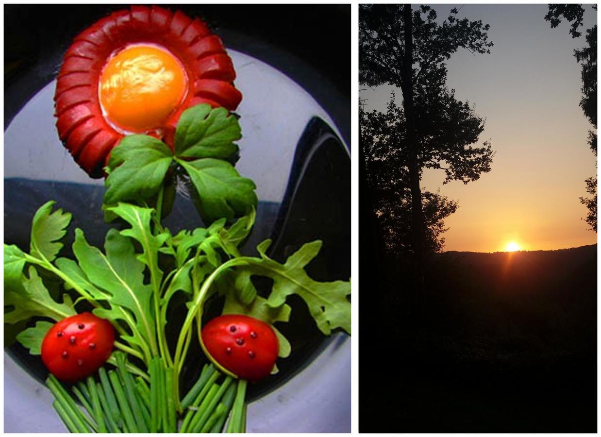 Golden Lion Bed & Breakfast บูยง ภายนอก รูปภาพ